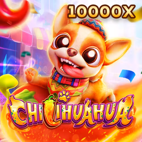 Chihuahua FaChai